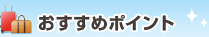 �������߃|�C���g