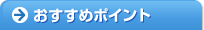 �������߃|�C���g