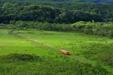 【釧網本線】釧路湿原国立公園内を走るローカル線に乗車(イメージ)