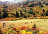 ネイチャーガイド同行で栗駒山･名残ヶ原湿原をミニハイキング(イメージ)