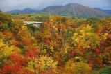 鳴子峡(イメージ)※例年の紅葉の見頃は10月中旬〜11月上旬
