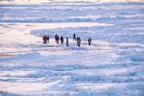 【流氷ウォーク】流氷の海へ足を踏み出す！海に浮かぶ貴重な経験も(イメージ)