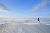 【野付半島】ガイド同行で水平線のように広がる氷の大地を歩く体験（イメージ）
