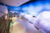 【オホーツク流氷館】流氷とオホーツク海の生き物をテーマとした観光施設