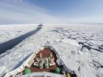 【流氷砕氷船おーろら号】流氷を押しつぶして進むダイナミックな大型観光船に乗船（イメージ）