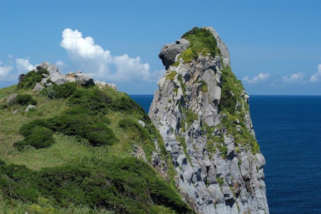 自然が造った高さ約45ｍ芸術作品 壱岐のシンボル・猿岩（イメージ）