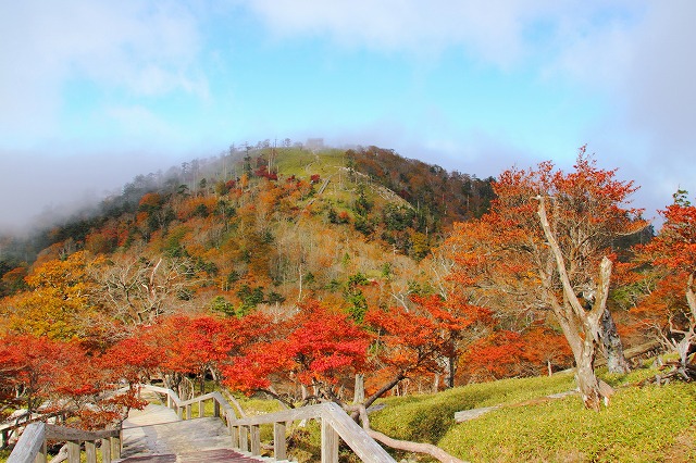 紅葉に染まりゆく日本百名山・伊吹山に登頂