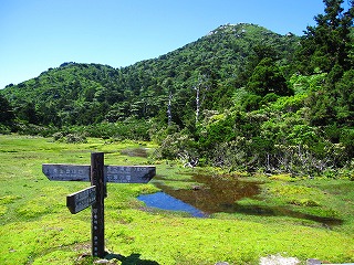 日本最南端の高層湿原として知られる花之江河