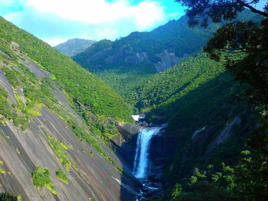 屋久島：千尋の滝