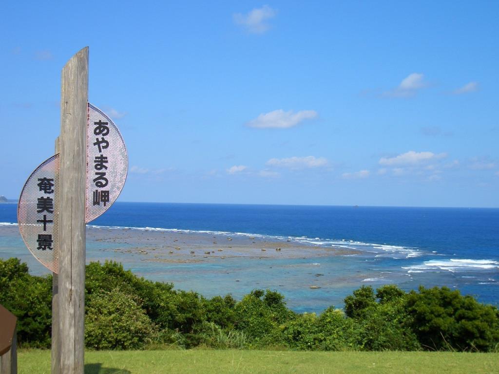 奄美十景のひとつ・あやまる岬で絶景望む【画像：九州旅ネット】