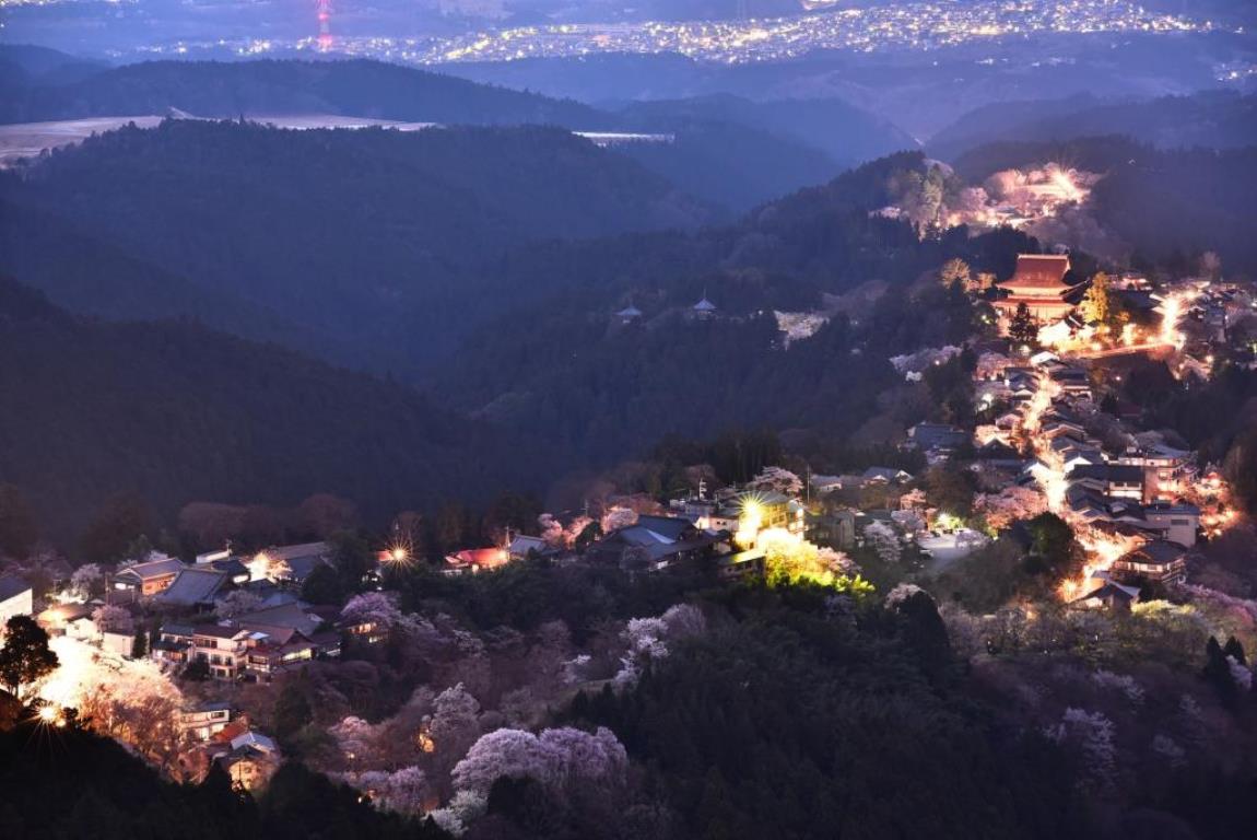 夜の吉野山も幻想的です