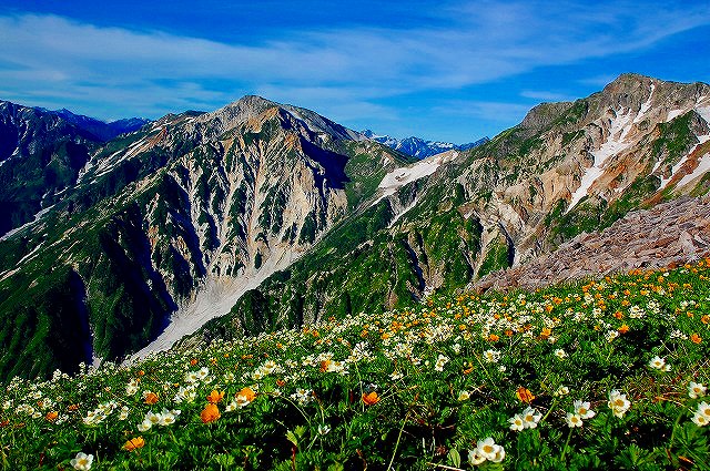 高山植物の宝庫として多くの登山者に愛される日本百名山・白馬岳へ！