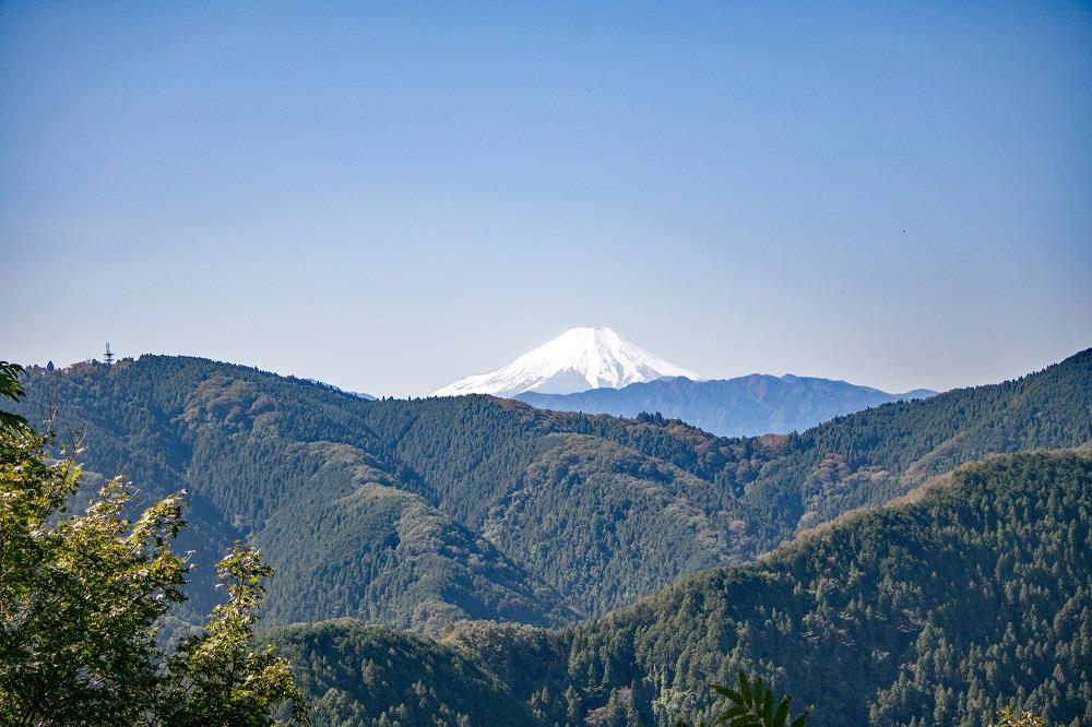 北高尾山稜からの富士山(富士山は気候により見られない場合があります)