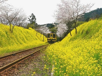 いすみ鉄道(イメージ)