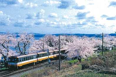 能登さくら駅（イメージ／例年の桜の見頃：4月上旬〜下旬）