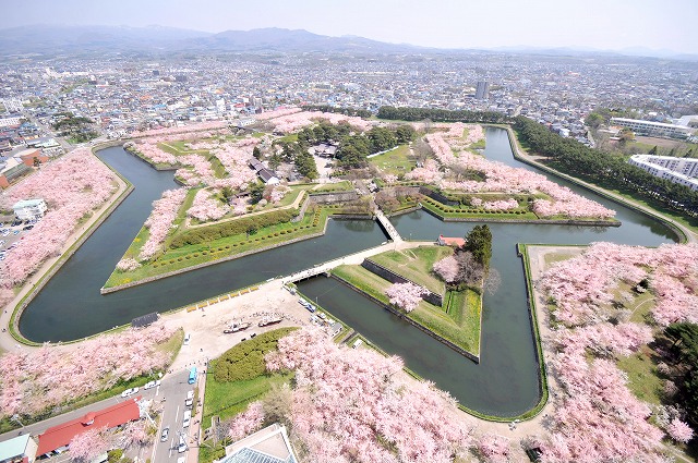 約1600本の桜が咲き誇る　五稜郭公園（イメ−ジ）