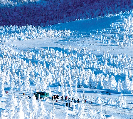 雪上車「ワイルドモンスター号」(イメージ)※樹氷や雪景色はご覧いただけない場合がございます