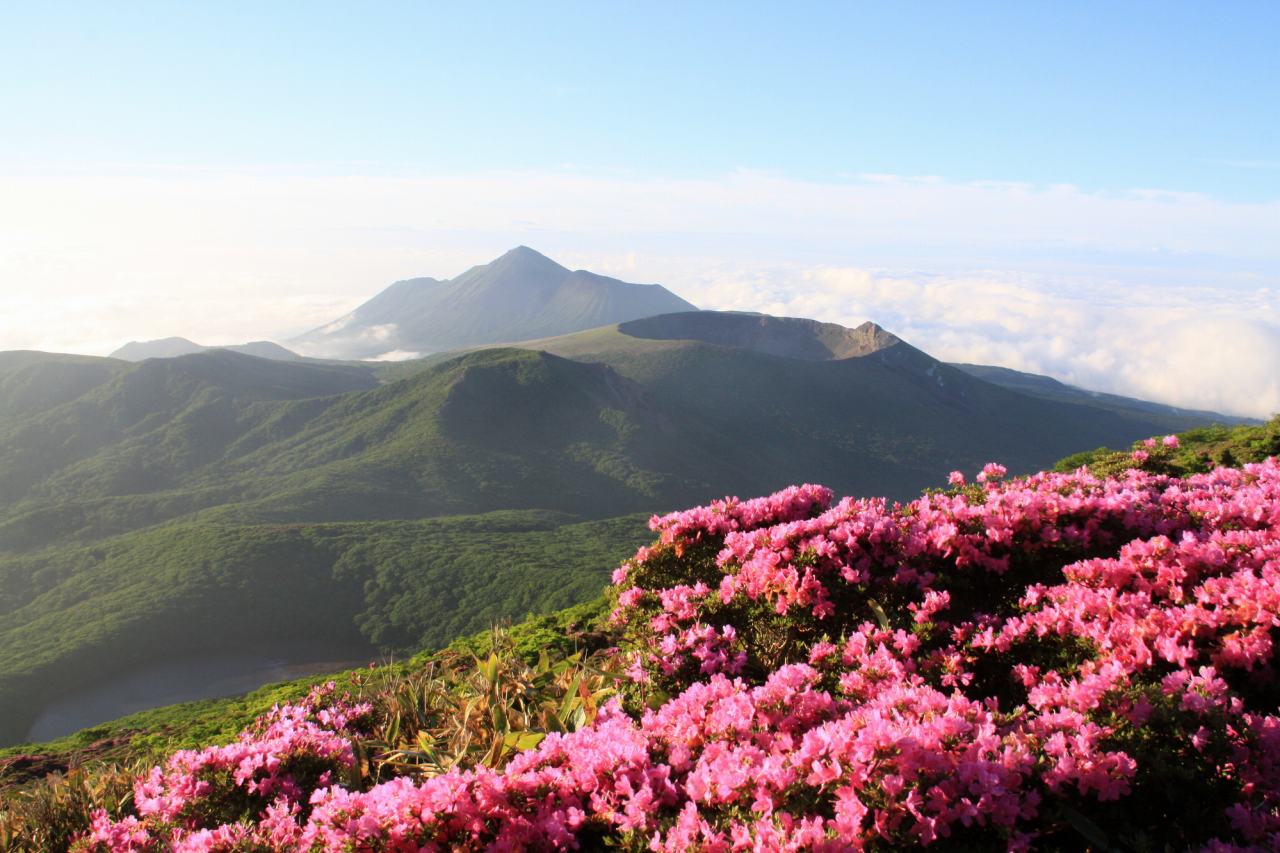 ミヤマキリシマが咲く韓国岳(イメージ)※花の見ごろは例年5月中旬〜6月上旬