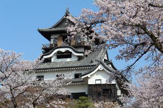 犬山城(イメージ)※例年の桜の見頃：3月下旬〜4月上旬