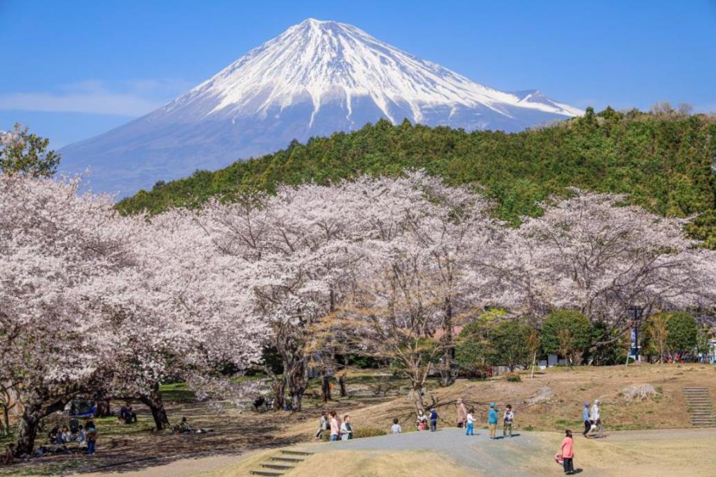 岩本山公園（イメージ）　写真提供静岡県観光協会