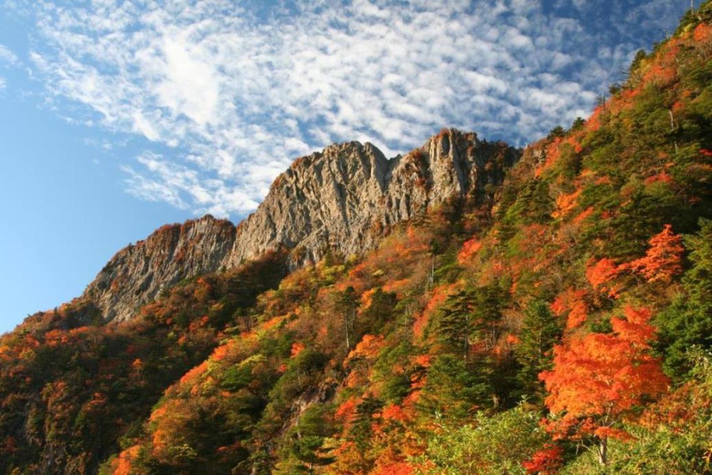 紅葉の石鎚山（10月イメージ）※紅葉の見ごろは例年10月上旬〜10月下旬