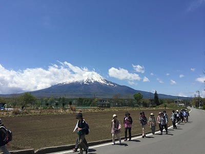 富士のすそ野を歩きます（イメージ）
